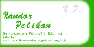 nandor pelikan business card